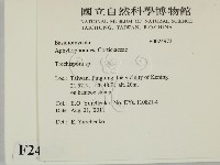 登錄號:F0024973藏品圖，第2張