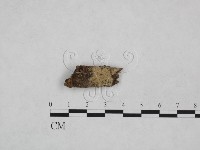 登錄號:F0024973藏品圖，第1張