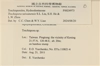 登錄號:F0024973藏品圖，第3張