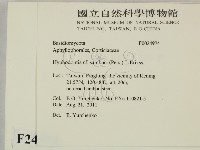 登錄號:F0024974藏品圖，第2張