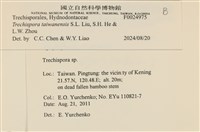 登錄號:F0024975藏品圖，第4張