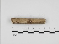 登錄號:F0024976藏品圖，第1張