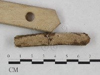 登錄號:F0024976藏品圖，第3張