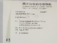 絲皮菌屬藏品圖，第2張