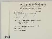 刺革菌屬藏品圖，第2張
