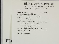 絲皮菌屬藏品圖，第2張