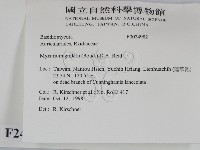 登錄號:F0024982藏品圖，第2張
