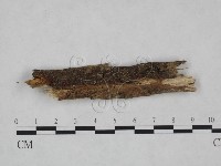 登錄號:F0024982藏品圖，第1張