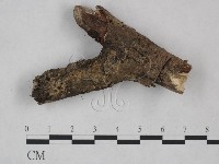 登錄號:F0024984藏品圖，第1張