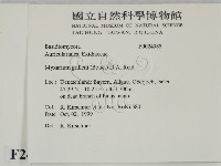 登錄號:F0024985藏品圖，第2張