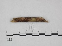 登錄號:F0024985藏品圖，第1張