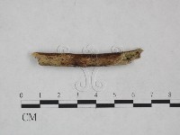 登錄號:F0024985藏品圖，第3張