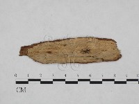 登錄號:F0024986藏品圖，第3張