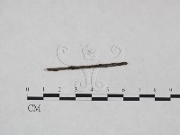 登錄號:F0024987藏品圖，第1張