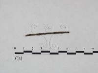 登錄號:F0024987藏品圖，第3張