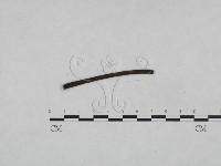 登錄號:F0024988藏品圖，第1張