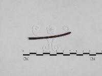 登錄號:F0024988藏品圖，第3張