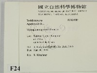 登錄號:F0024989藏品圖，第2張