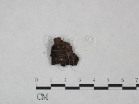 登錄號:F0024989藏品圖，第1張