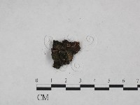 登錄號:F0024989藏品圖，第3張