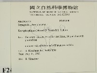 登錄號:F0024990藏品圖，第2張