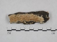 登錄號:F0024991藏品圖，第3張