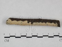 登錄號:F0024992藏品圖，第1張