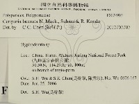 登錄號:F0024993藏品圖，第2張