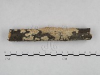 登錄號:F0024993藏品圖，第3張