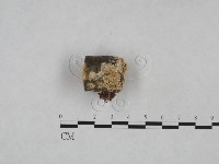 登錄號:F0024994藏品圖，第1張