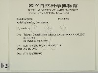 登錄號:F0024996藏品圖，第2張