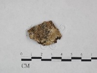 登錄號:F0024996藏品圖，第1張