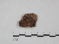 登錄號:F0024996藏品圖，第3張