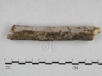 登錄號:F0024997藏品圖，第3張