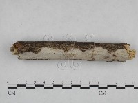 登錄號:F0024997藏品圖，第4張