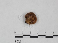 登錄號:F0024999藏品圖，第3張