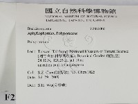 多孔菌屬藏品圖，第2張