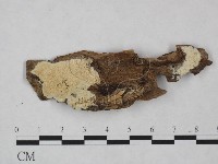 登錄號:F0025005藏品圖，第1張
