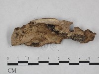 登錄號:F0025005藏品圖，第3張