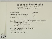 登錄號:F0025007藏品圖，第2張