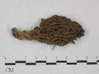 登錄號:F0025007藏品圖，第3張