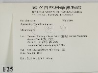 小皮傘屬藏品圖，第2張