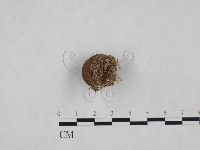 登錄號:F0025011藏品圖，第3張