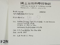絲皮菌屬藏品圖，第2張
