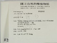 登錄號:F0025013藏品圖，第2張