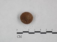 登錄號:F0025013藏品圖，第1張