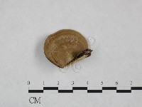 登錄號:F0025014藏品圖，第1張