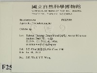 登錄號:F0025016藏品圖，第2張