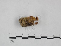 登錄號:F0025016藏品圖，第3張