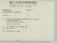 登錄號:F0025018藏品圖，第2張
